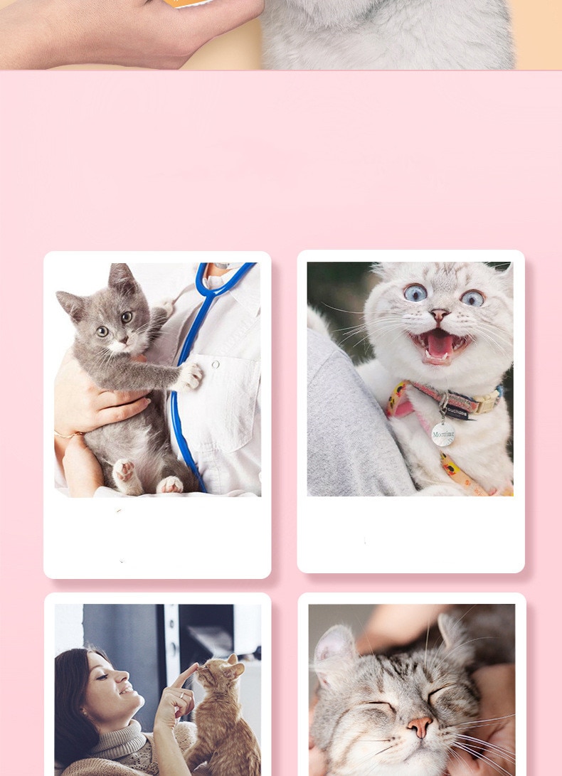 90g Cat Wet Food Cat Snacks Wonderful Seal Package Cat Canned Thick Soup Chicken Grain Pet Nutrition Packs - Images 3