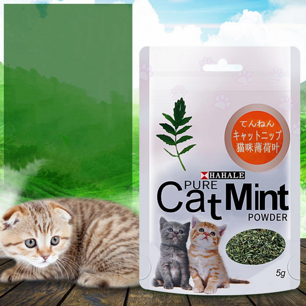 Catnip 5g/Pack Cat Mint Powder Natural Pet Kitten Mouth Cleaning Flavor Treats - Images 5
