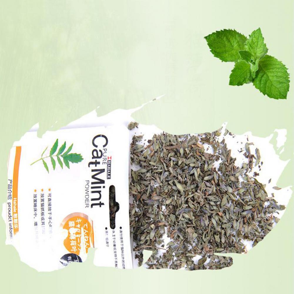 Catnip 5g/Pack Cat Mint Powder Natural Pet Kitten Mouth Cleaning Flavor Treats