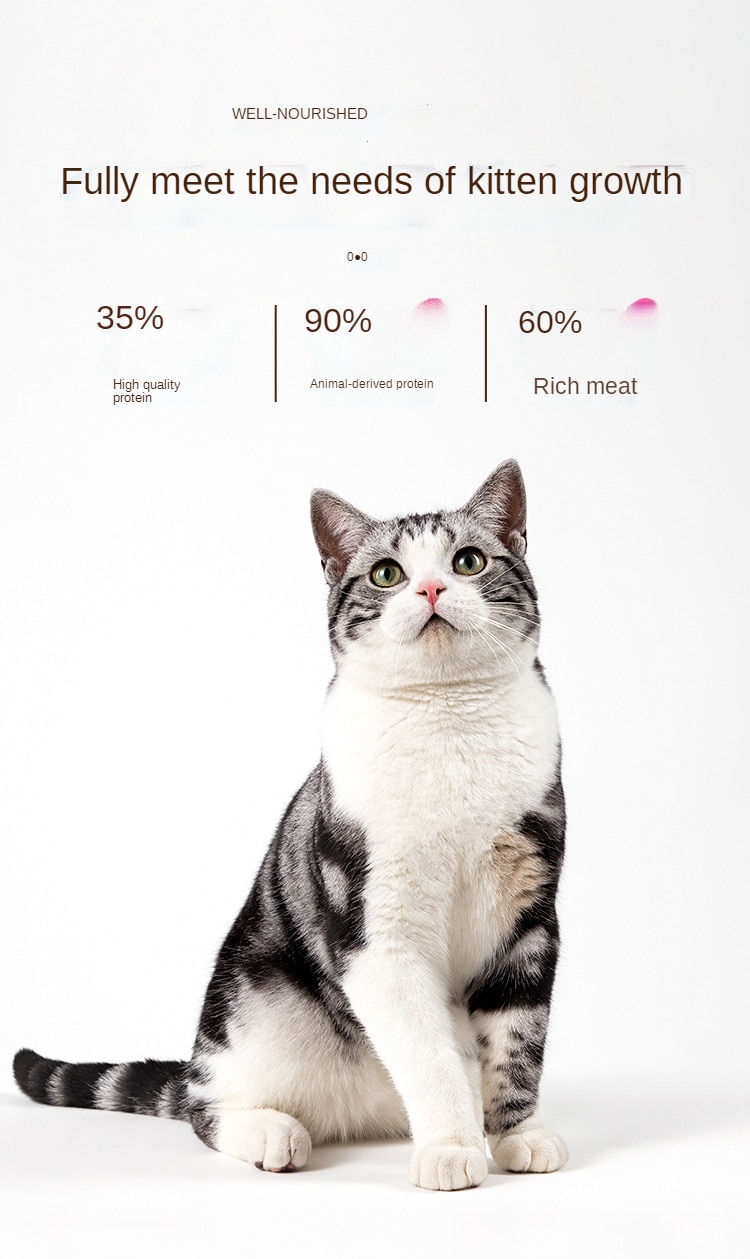 Kitty cat food freeze-dried, crushed and broken, full-price milk cake, chicken, nutrition, fattening and gills 1-12 months - Images 6