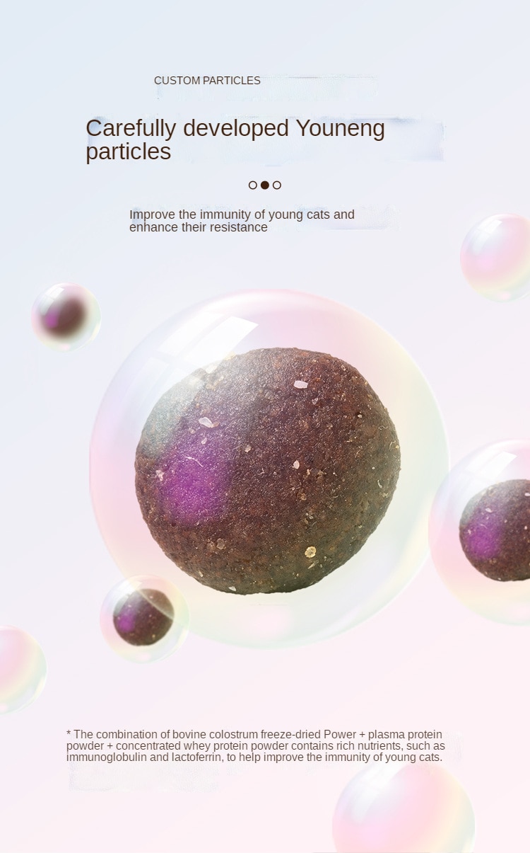 Kitty cat food freeze-dried, crushed and broken, full-price milk cake, chicken, nutrition, fattening and gills 1-12 months - Images 4