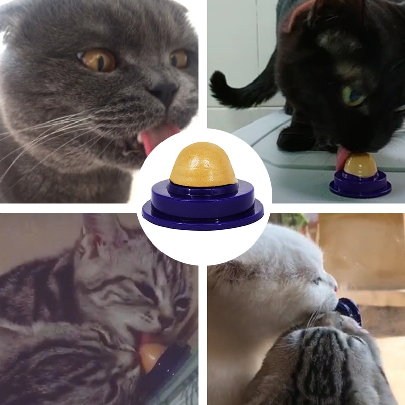 Mèo Bóng Năng Lượng Mèo Hình Cầu Kẹo Mèo Lollipop Mèo Catnip Mèo Đồ Ăn Nhẹ Đồ Chơi Thú Cưng Mèo Bạc Hà Có Keo Liếm Dinh Dưỡng Tốt Cho Sức Khỏe