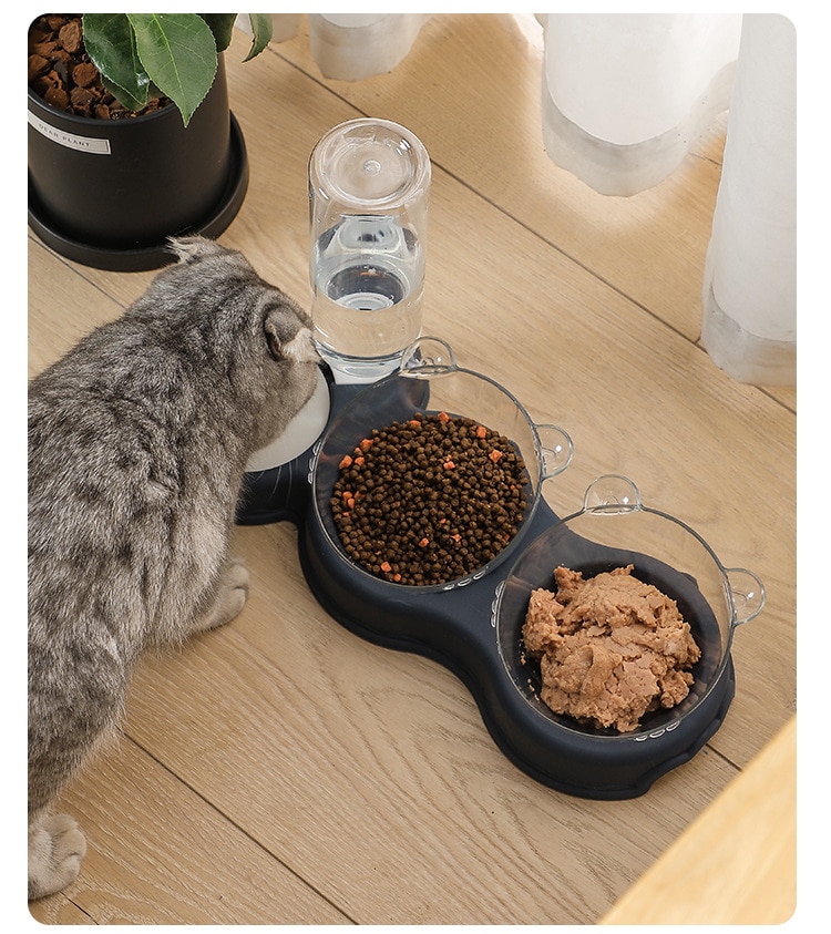 Pet Cat Bowl Automatic Feeder 3-in-1 Dog Cat Food Bowl With Water Fountain Double Bowl Drinking Raised Stand Dish Bowls For Cats - Images 1