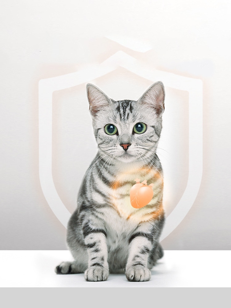 Pet freeze-dried cat snacks Antarctic krill fattening gills into kitty cat food staple pet low salt pet food - Images 3