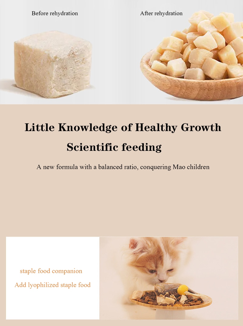 Pet freeze-dried meat snacks chicken beef duck quail chicken small breast 500g dog cat snacks - Images 7