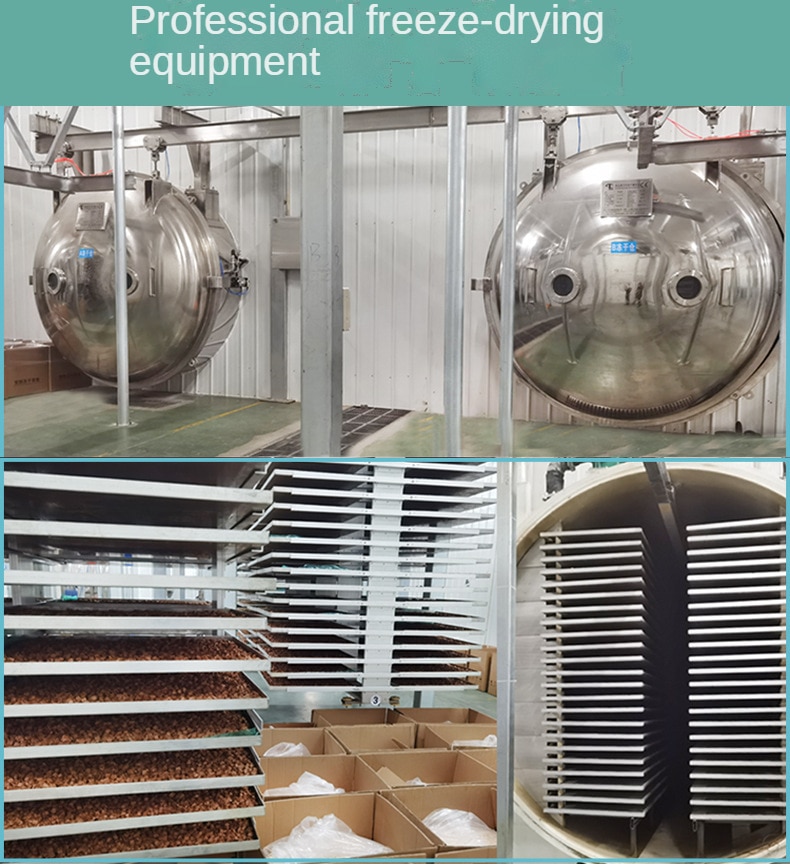 Pet freeze-dried snacks spring fish cat dog snacks with seeds spring fish dried freeze-dried meat - Images 9