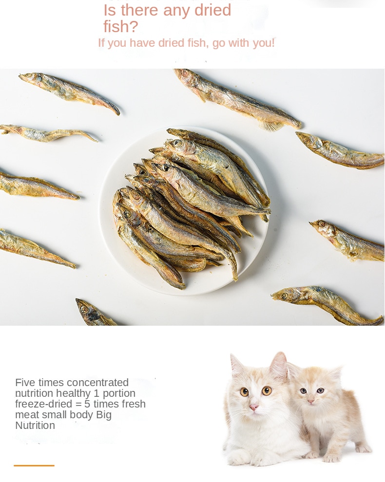 Pet freeze-dried snacks spring fish cat dog snacks with seeds spring fish dried freeze-dried meat - Images 7
