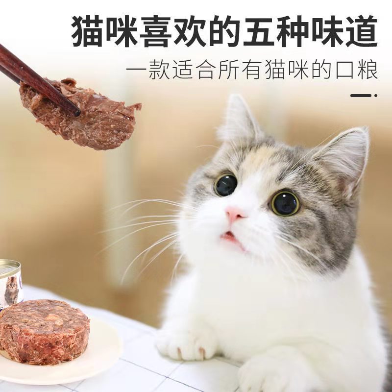 Seafood tuna fish canned cat cat fatten fattening big meat pieces cat food canned fish 170g cat snacks - Images 12