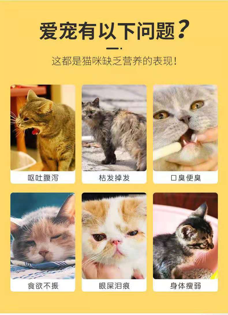 Seafood tuna fish canned cat cat fatten fattening big meat pieces cat food canned fish 170g cat snacks - Images 6