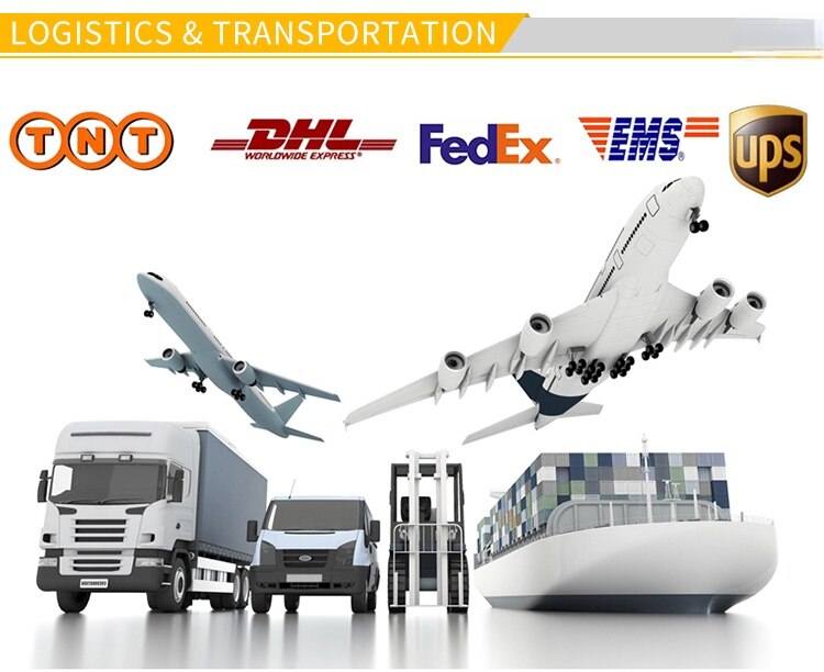 Tự Làm Đèn LED Treo Tường Đèn Nhỏ Hiện Đại Đèn Trang Trí Phòng Khách Phòng Ngủ Phong Cách Bắc Âu 20 Màu Với Hoa Khô - Ảnh 13