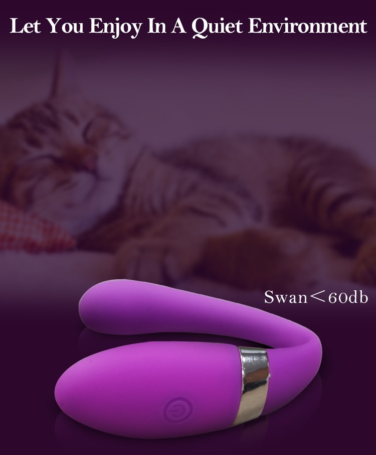 Wireless Remote Control Vibrator Female Clitoris Stimulator Dildo Wearable Sex Toys for Women Couple Adult 18 -Tian E - Images 14