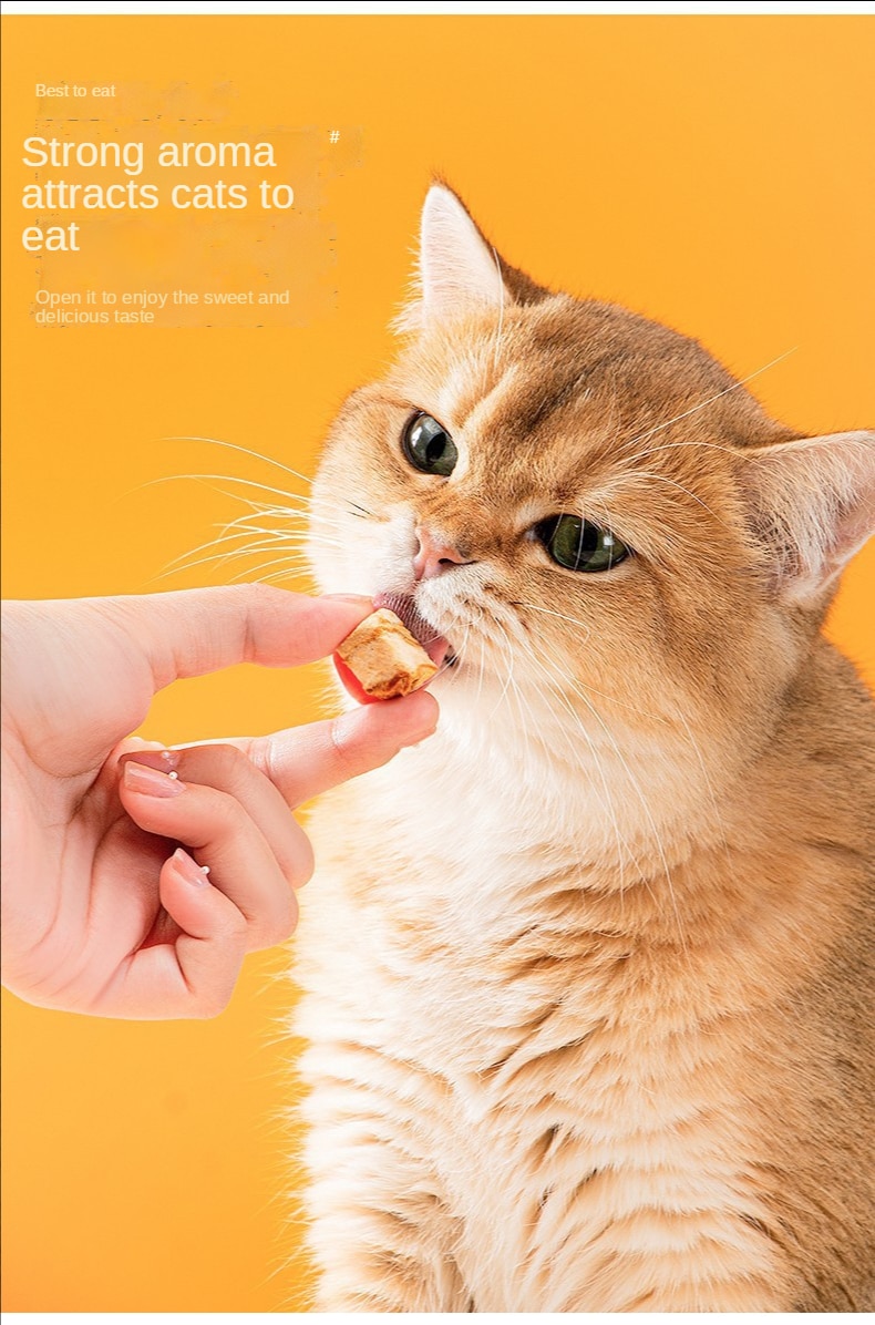 간식류, 동결건조닭과립, 애완용 닭가슴살, 메추리알, 노란물고기, 건어물, 새끼고양이, 강아지사료 - imaget 7