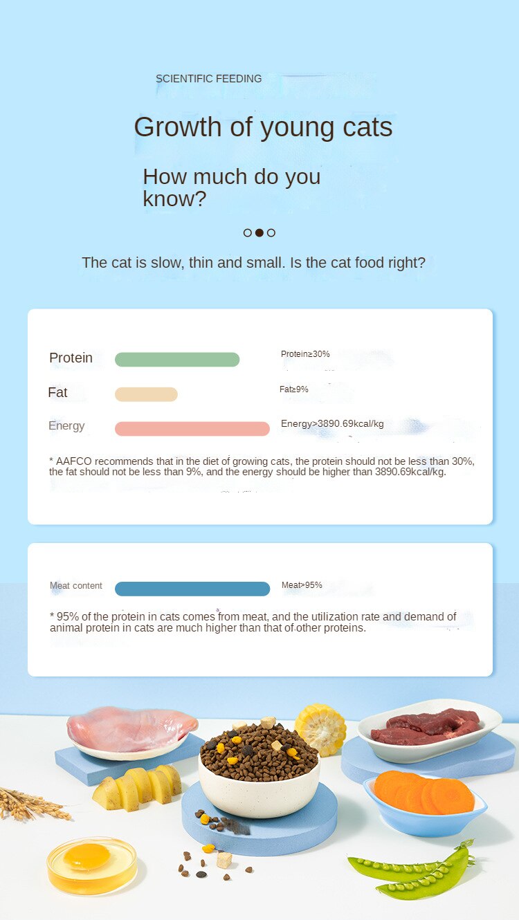 동결 건조, 분쇄 및 파손된 고양이 사료, 정가 우유 케이크, 닭고기, 영양, 비육 및 아가미 1-12개월 - imaget 3